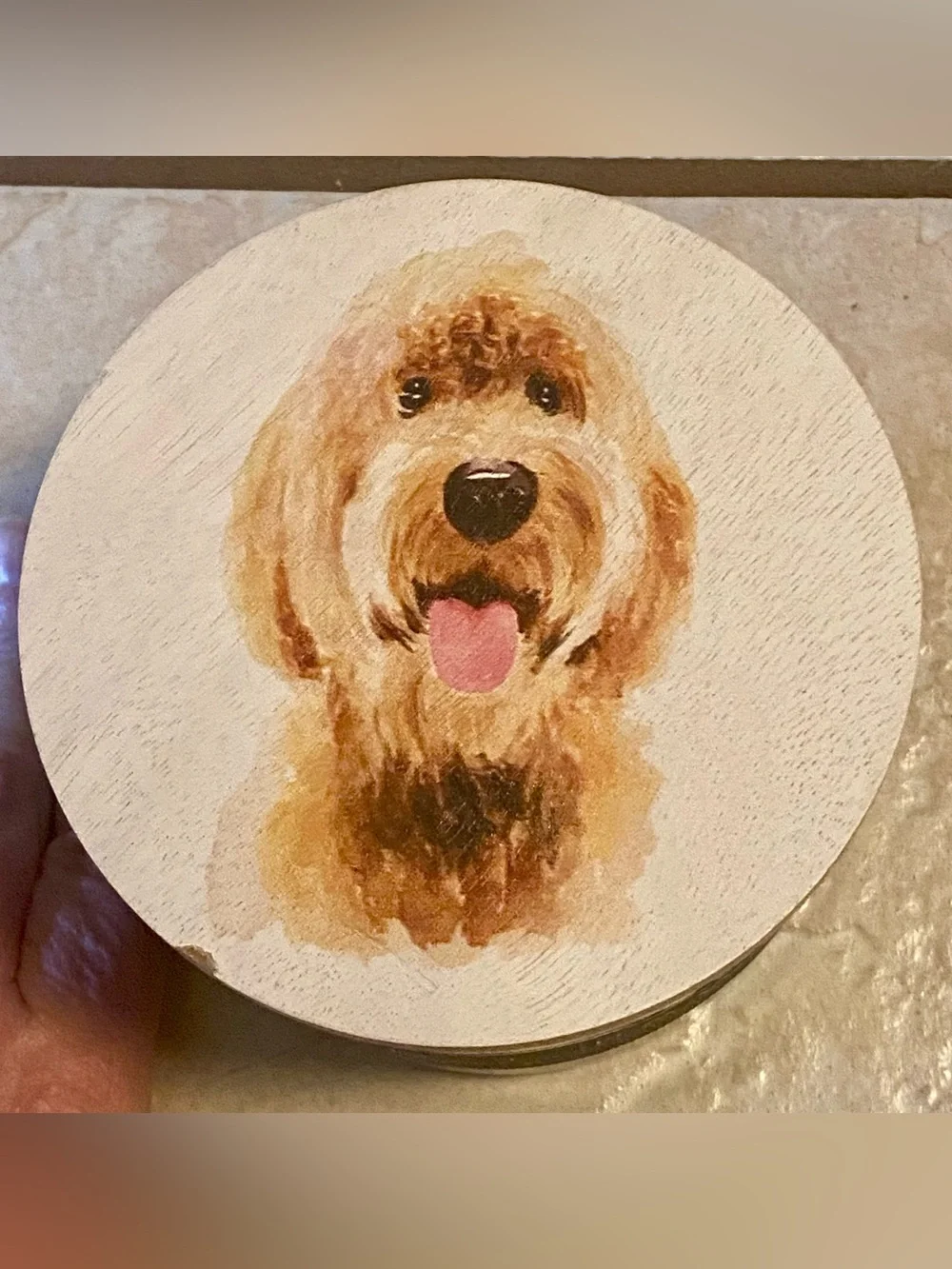 Sand + Paws Scented Candle Teakwood Neutralizers Pet Odor